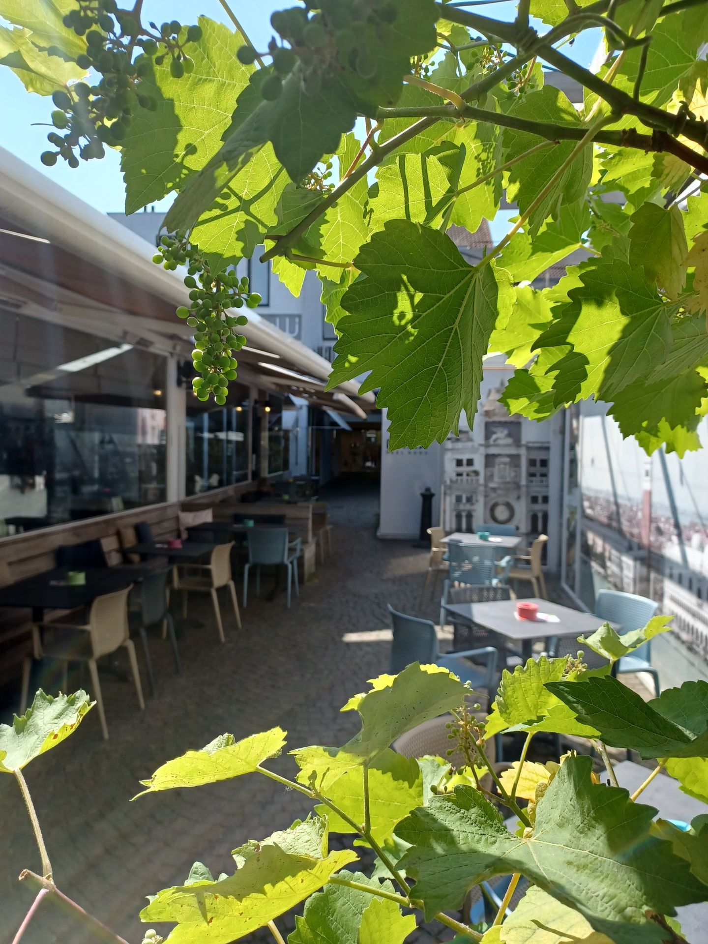 Zonnig terras van San Marco in het centrum van Roeselare